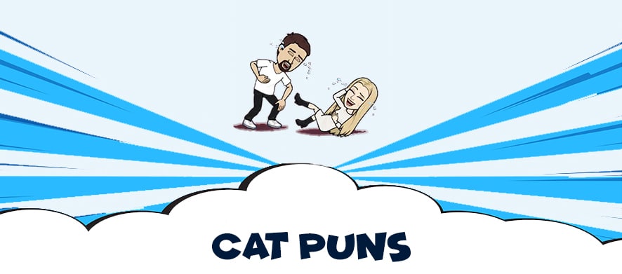 Cat puns