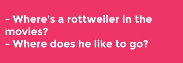 best friend dog joke