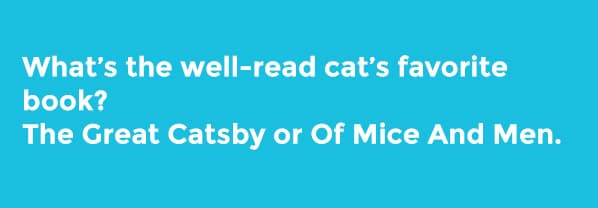 cat puns