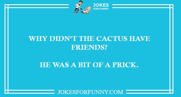 cactus jokes