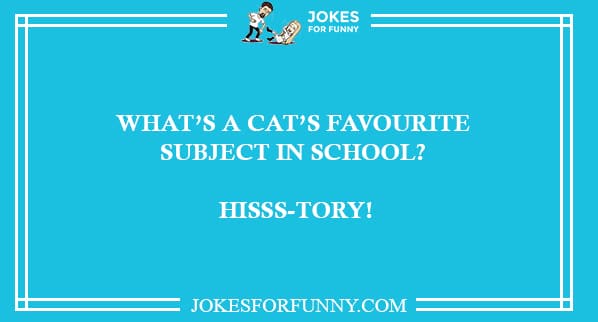 cat jokes