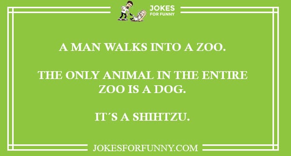 funny jokes