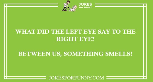 The Best One Liner Jokes Ever Heard On Reddit