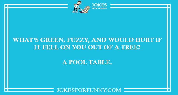 Best Dumb Jokes You Ever Read - Really Funny Jokes