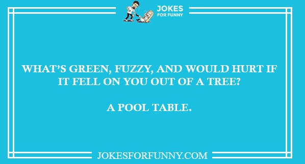 you are so dumb jokes