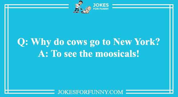 best animal jokes