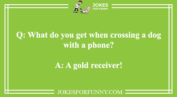 dogs easy to tell jokes