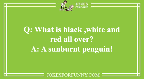 funny animal jokes