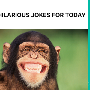 hilarious jokes