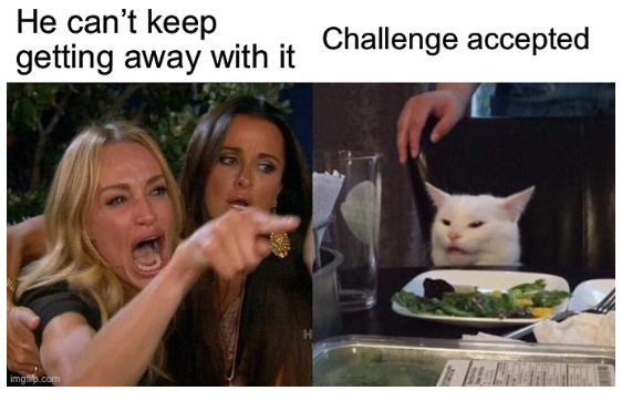 Woman yelling at cat meme