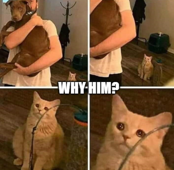 crying cat meme
