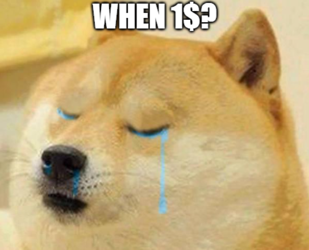 crying dog meme