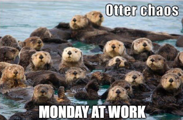 monday work meme