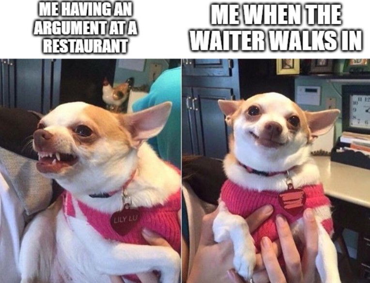 angry dog meme