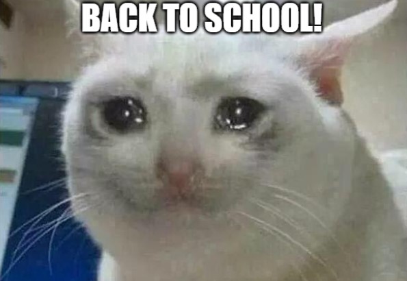 crying cats meme