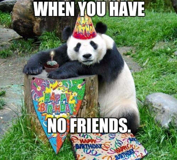 funny birthday meme