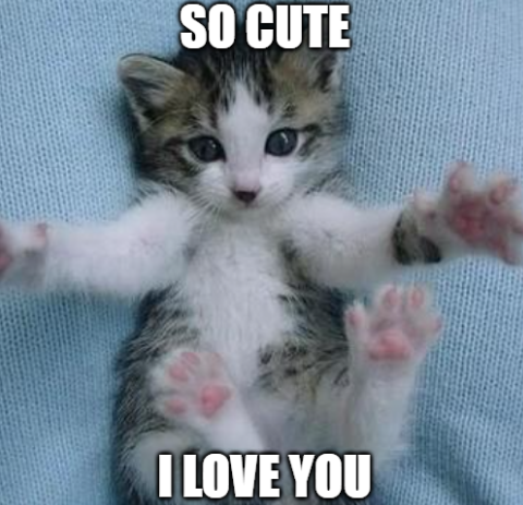 i love you memes for her