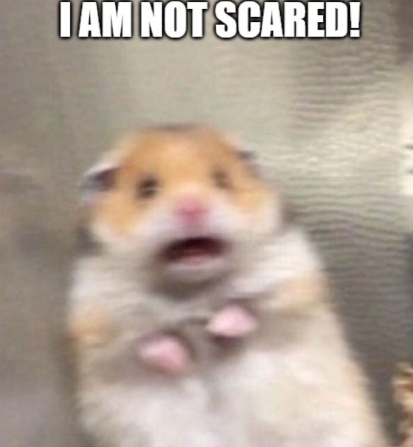 scared hamster meme