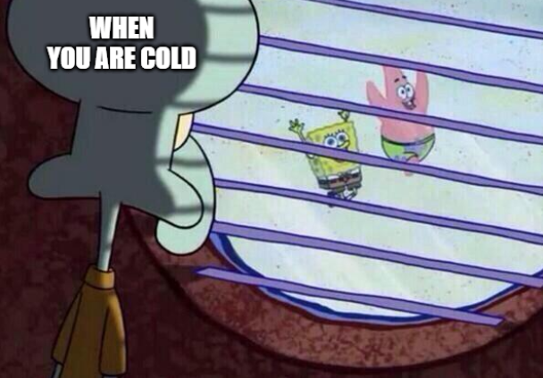squidward window meme